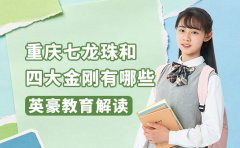 英豪教育解读 重庆七龙珠和四大金刚有哪些