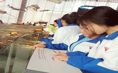 重庆英豪教育,重庆2026年新高考政策